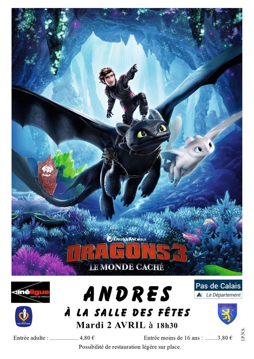 DRAGONS 3Affiche ANDRES