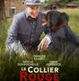 LE COLLIER ROUGE carre
